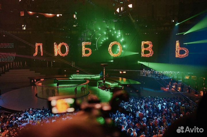 Диплом Высшего Образования Онлайн Обучение