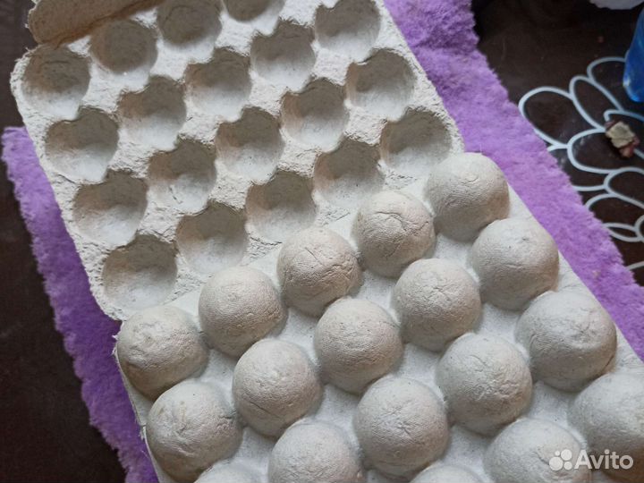 Ячейки для перепелинных яиц