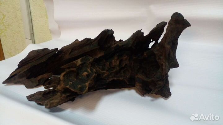 Скола (каряга)