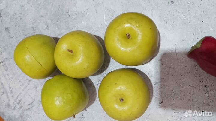 Муляжи овощи фрукты