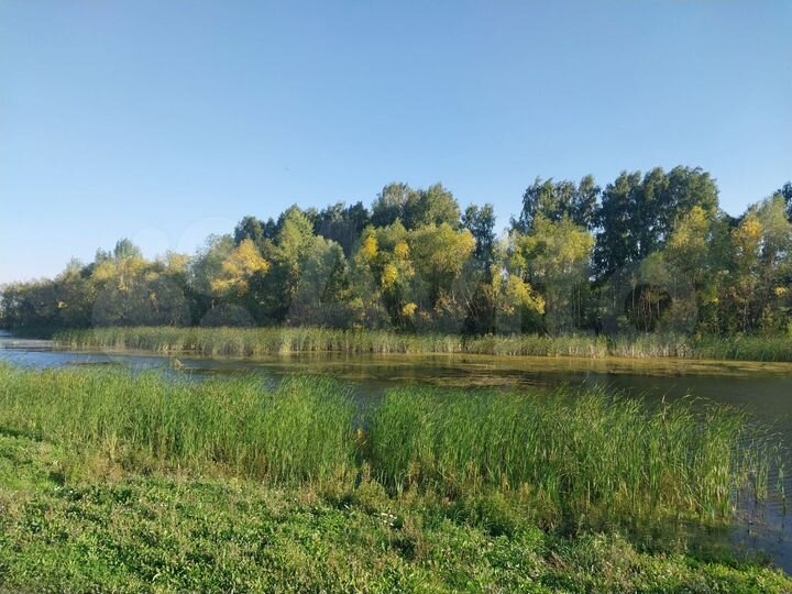 Участок 10 сот. (ИЖС)