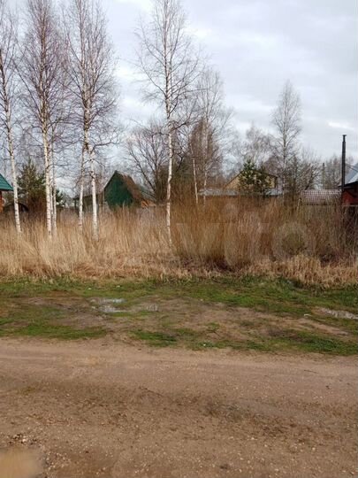 Участок 6 сот. (СНТ, ДНП)