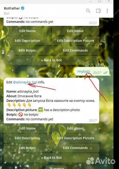 Создам бот в Telegram, создам сайт
