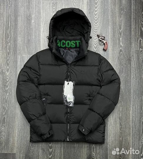 Зимняя куртка lacoste