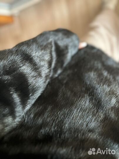 Шуба норковая 42 44