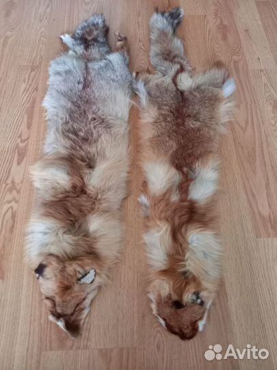 Мех лиса, шкурка