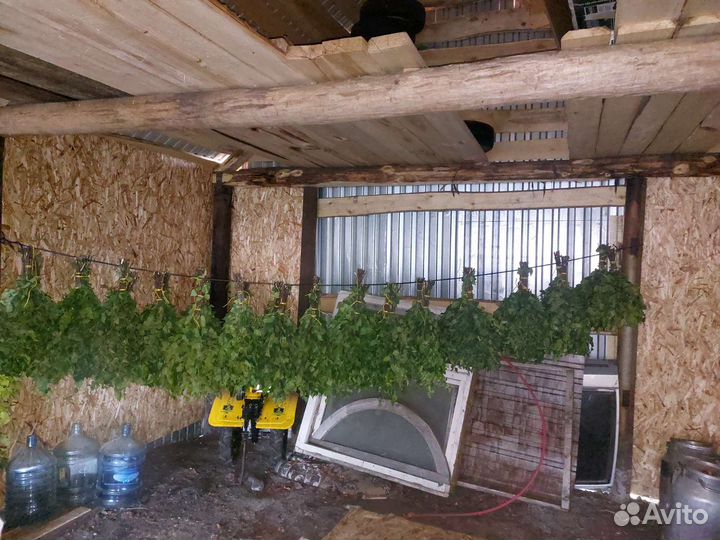 Веники для бани