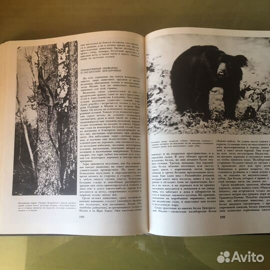 Книга Азия П.Пфеффер 1982г