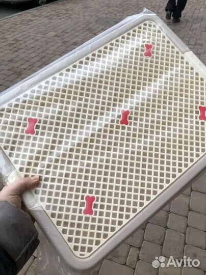 Лоток туалет для собак