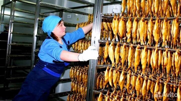 Стабильный бизнес: рыбзавод. 3 млн выручки