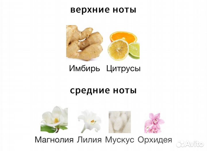 Max mara eau de parfum 10 ml