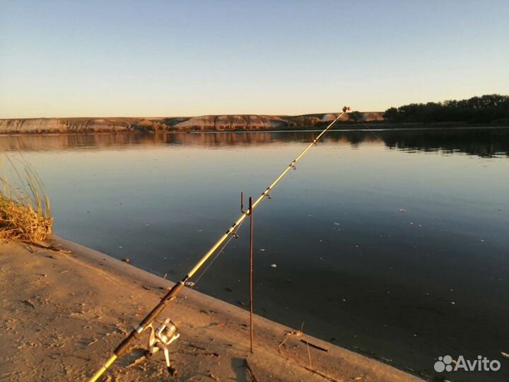 Охота и рыбалка