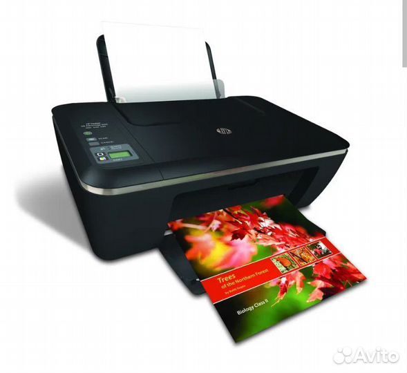 Принтер hp