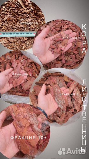 Кора сибирской лиственницы