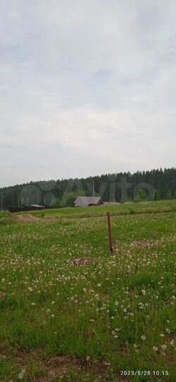 Участок 19 сот. (СНТ, ДНП)
