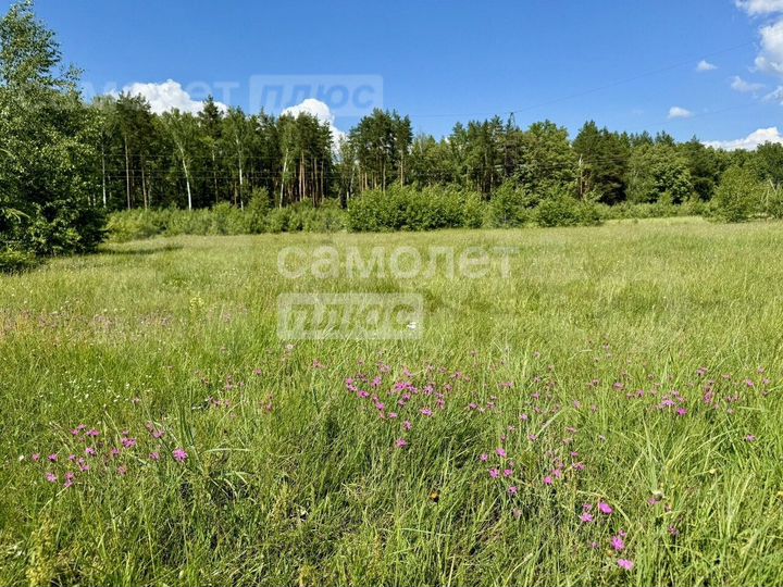 Участок 11 сот. (личное подсобное хозяйство (лпх))