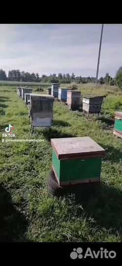Улей с рамками