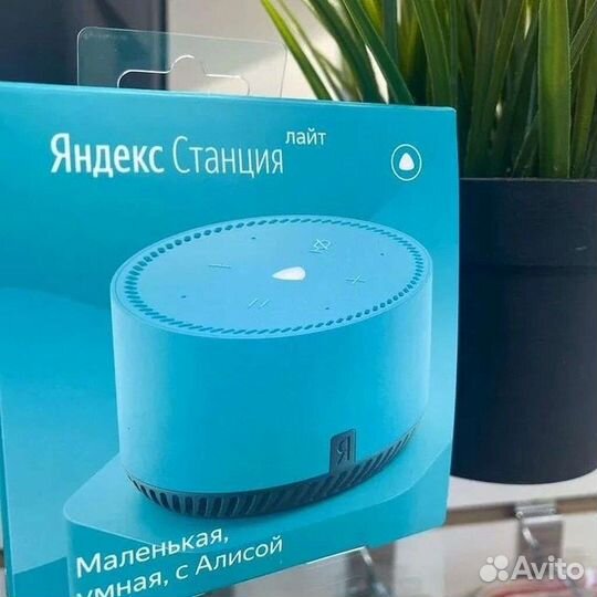 Яндекс станция лайт алиса lite