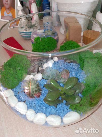 Флоррариум