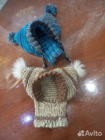 Одежда для собак