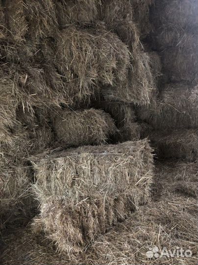 Сено луговое в тюках