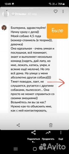 Дрессировка собак передержка собак кинолог