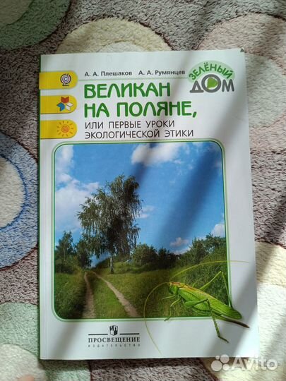 Великан на поляне. Плешаков