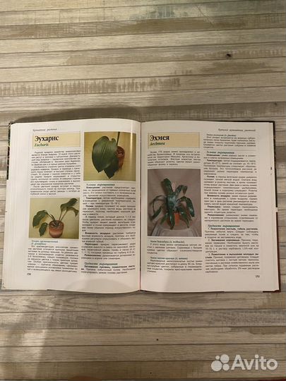 Энциклопедия Комнатные растения