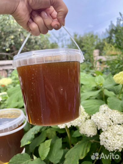 Мёд натуральный (разноцвет, липа, василёк, клевер)