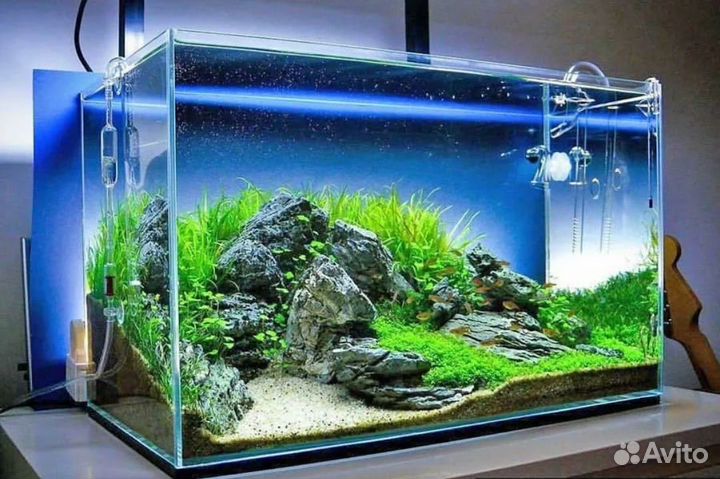 Чистка и обслуживание аквариумов