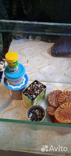 Для черепахи