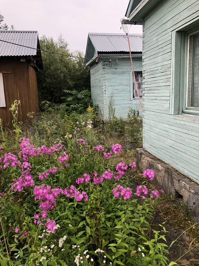 Дача 47 м² на участке 10 сот.