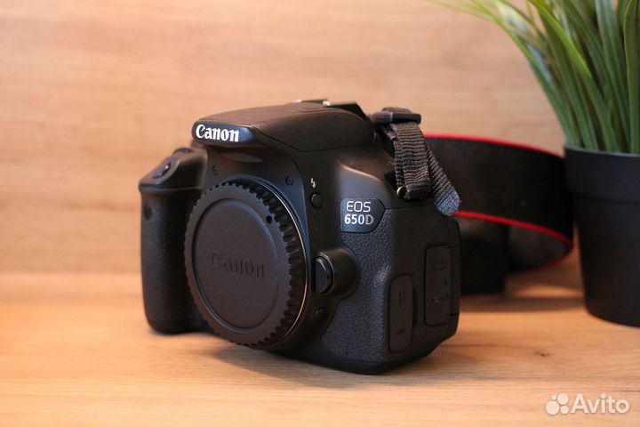 Canon EOS 650D Body