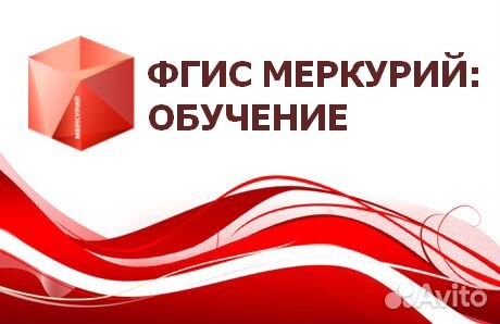 Фгис Меркурий обучение и настройка