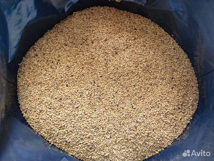 Семена горчицы (обезжиренные)