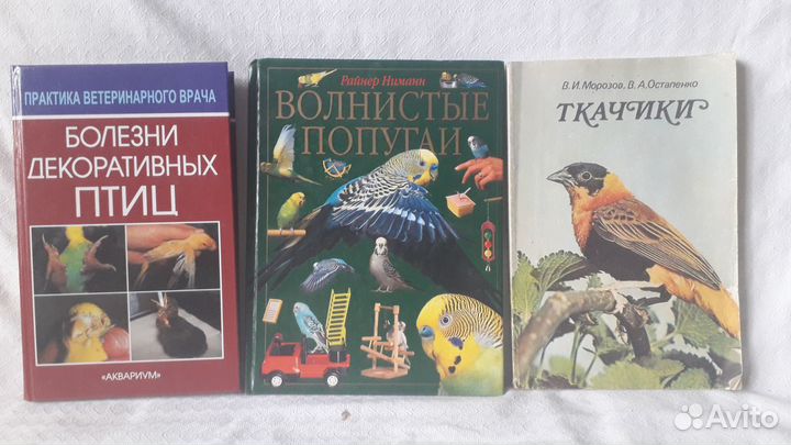 Книги о птицах