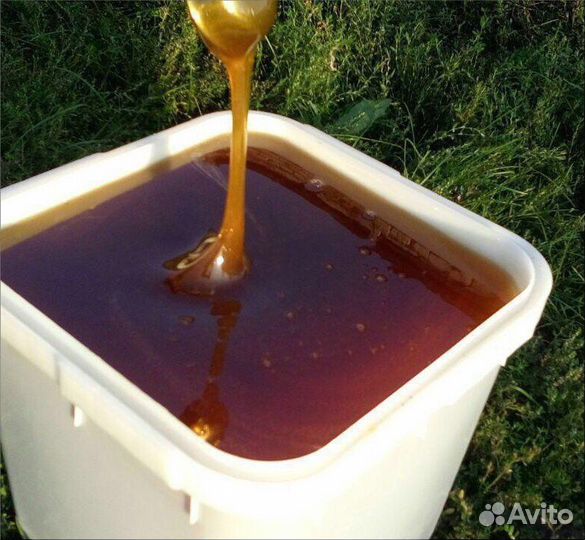 Мёд Акация.Донник.Липовый оптом от 100 кг