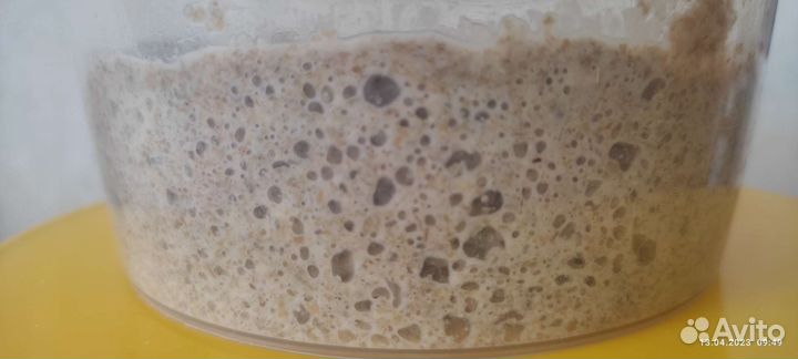 Ржаная закваска для хлеба