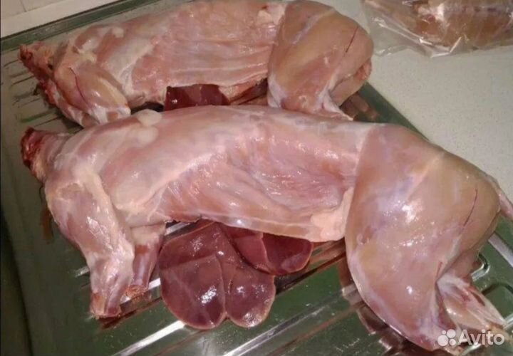 Мясо кролика