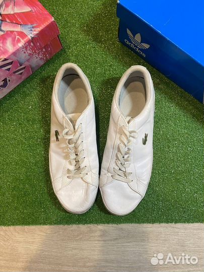 Кеды Мужские Lacoste