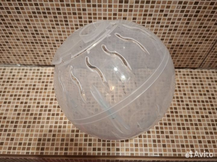 Джунгурский хомяк с клеткой