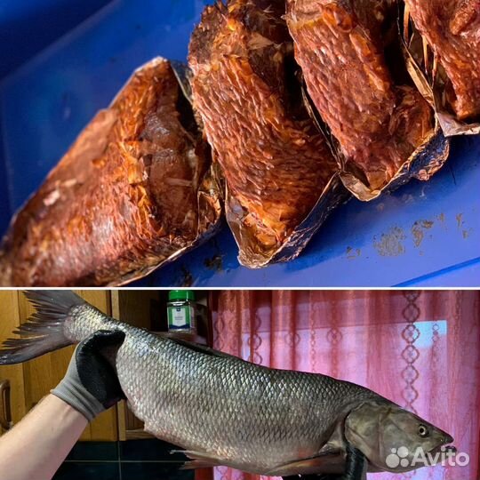 Рыба горячего копчения,свежая,вяленая