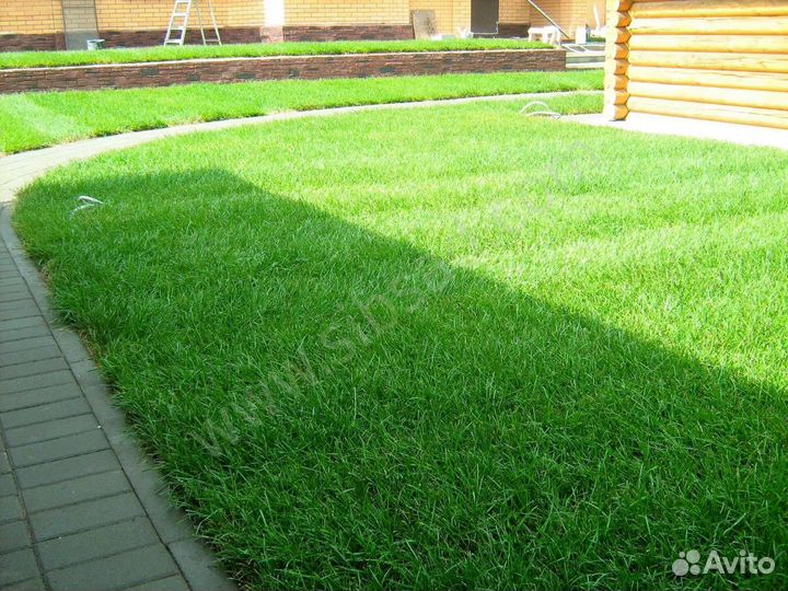 Рулонный газон от производителя. Укладка газона