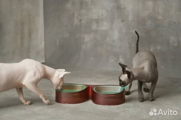 Миска для кормления кошек и собак