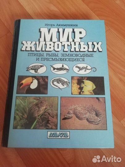 Мир животных