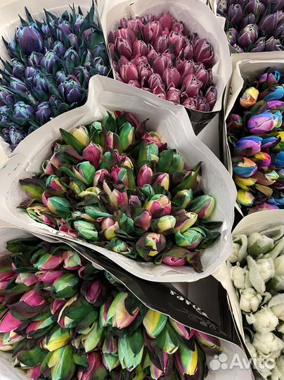 Тюльпаны к 8 марта оптом и в розницу