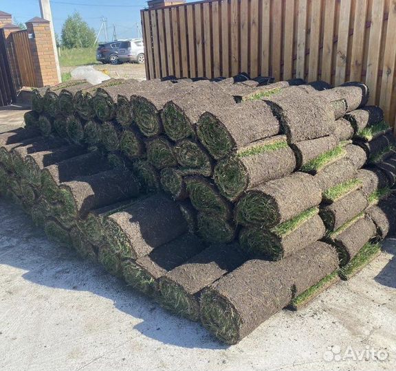 Рулонный газон «Премиум» с укладкой