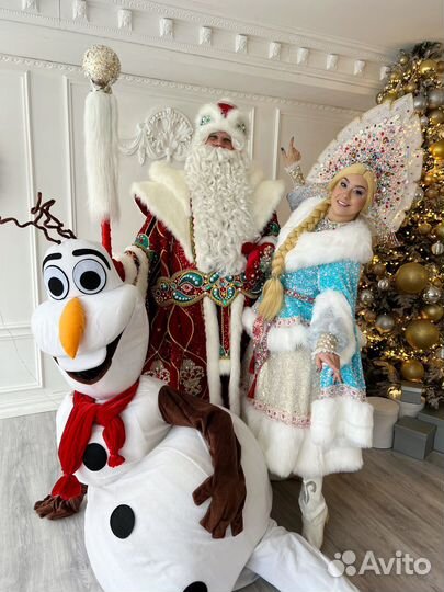 Дед Мороз и Снегурочка на дом, в школу,детский сад