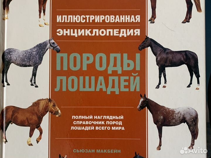 Энциклопедия пород лошадей