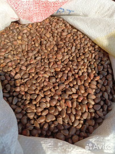 Продукты питания